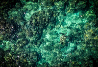 2023 Maui - Surfside - TJP (19 of 70)