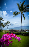 2023 Maui - Surfside - TJP (21 of 70)