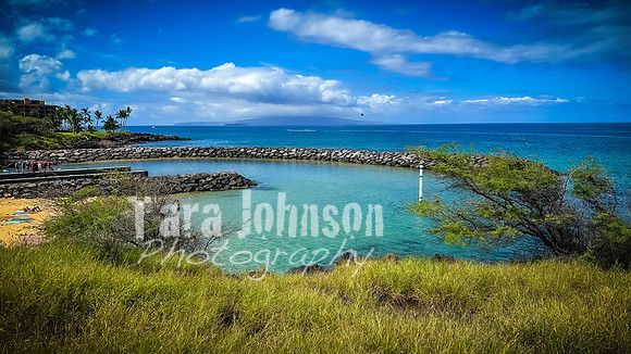 2023 Maui - Surfside - TJP (56 of 70)