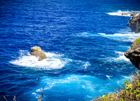 SAHT - Suicide & Banzai Cliffs in Saipan - TJP (36 of 51)