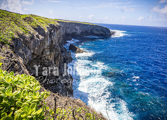 SAHT - Suicide & Banzai Cliffs in Saipan - TJP (38 of 51)