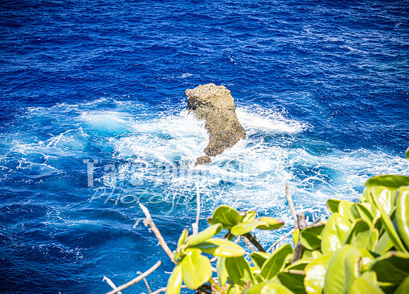 SAHT - Suicide & Banzai Cliffs in Saipan - TJP (39 of 51)