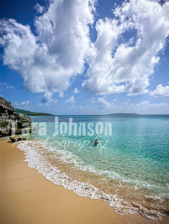 SAHT - Tinian Beach - TJP (15 of 31)