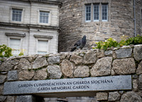 Dublin Castle - The Garden (7 of 36)