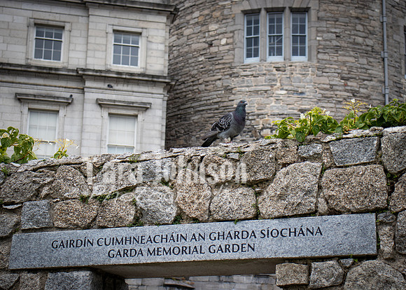Dublin Castle - The Garden (7 of 36)