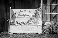 Tim & Corrissa - Complete - BW - TJP (16 of 585)
