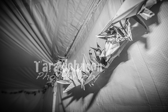 Alex and Rachel - Complete - BW - TJP (7 of 1393)