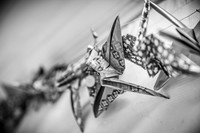 Alex and Rachel - Complete - BW - TJP (9 of 1393)