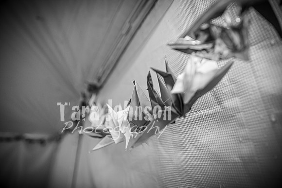 Alex and Rachel - Complete - BW - TJP (8 of 1393)