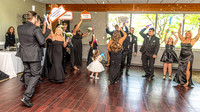 J. & D. Klann - Bridal Entrance & Speeches - TJP (17 of 66)