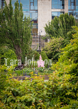 Dublin Castle - The Garden (35 of 36)