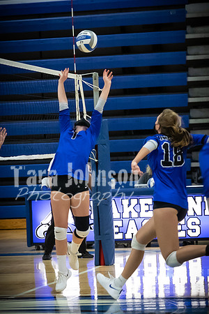 2020 LHS VB Senior Collage - Game Play - TJP (30 of 67)