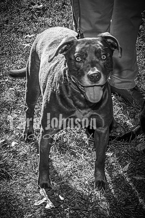 Jack Holton - BW - TJP (12 of 33)
