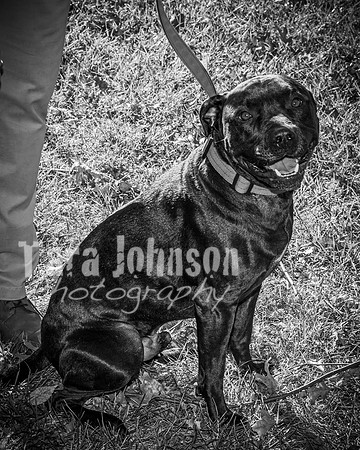 Jack Holton - BW - TJP (13 of 33)