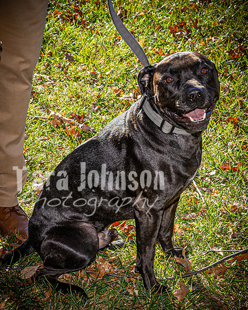 Jack Holton - Color - TJP (13 of 33)