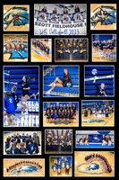 ALL - LHS Girls Volleyball Banners & Posters - Complete Set of Samples