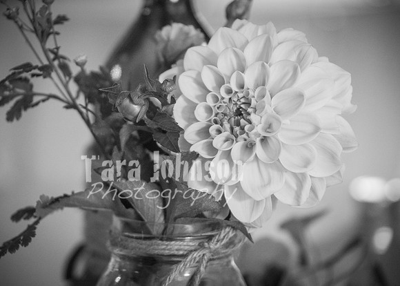 24 D & B Law Wedding - Full Collection B&W (134 of 308)