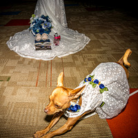 Mitch & Kelly - Venues - TJP (11 of 36)