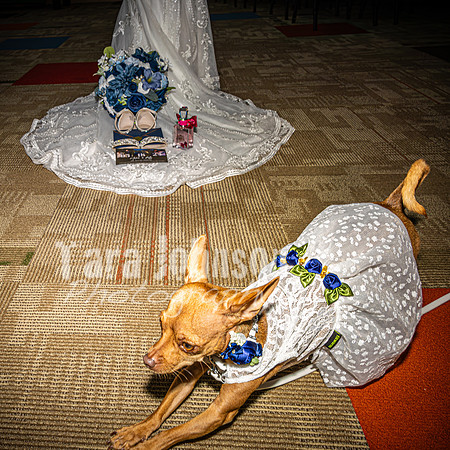 Mitch & Kelly - Venues - TJP (11 of 36)