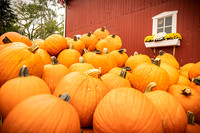 Long's Family Orchard, Farm & Cider Mill