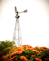 Long's Family Orchard, Farm & Cider Mill - TJP (8 of 50)