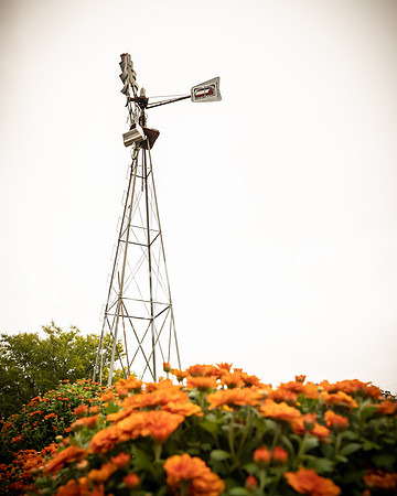 Long's Family Orchard, Farm & Cider Mill - TJP (8 of 50)
