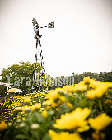 Long's Family Orchard, Farm & Cider Mill - TJP (7 of 50)