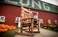 Long's Family Orchard, Farm & Cider Mill - TJP (9 of 50)