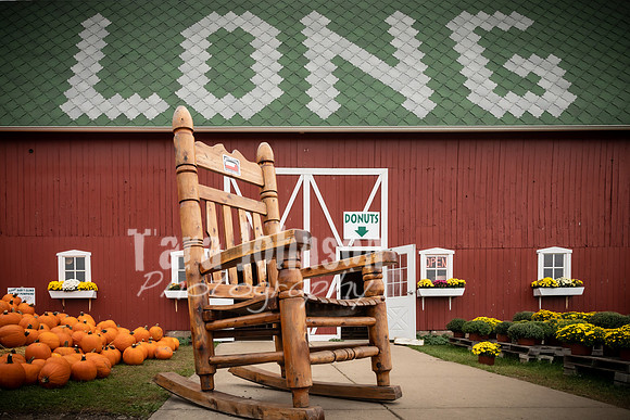 Long's Family Orchard, Farm & Cider Mill - TJP (10 of 50)