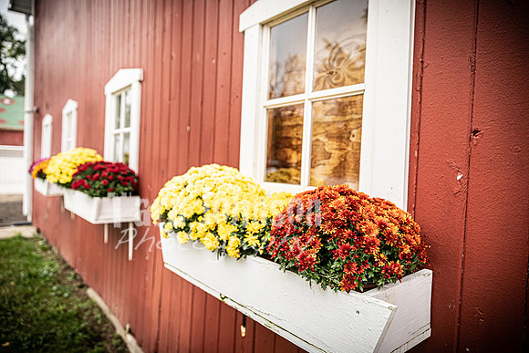 Long's Family Orchard, Farm & Cider Mill - TJP (12 of 50)