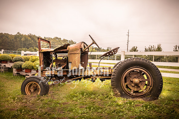 Long's Family Orchard, Farm & Cider Mill - TJP (13 of 50)