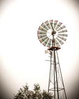 Long's Family Orchard, Farm & Cider Mill - TJP (16 of 50)