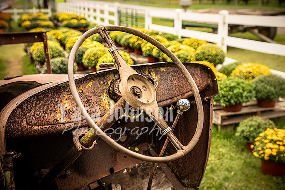 Long's Family Orchard, Farm & Cider Mill - TJP (14 of 50)