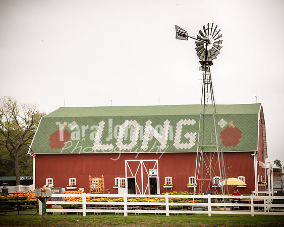 Long's Family Orchard, Farm & Cider Mill - TJP (17 of 50)