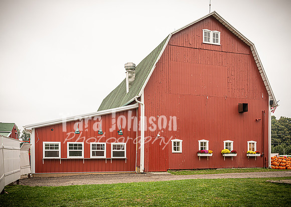 Long's Family Orchard, Farm & Cider Mill - TJP (19 of 50)