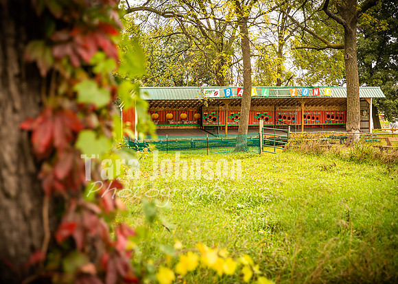 Long's Family Orchard, Farm & Cider Mill - TJP (24 of 50)