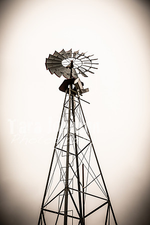 Long's Family Orchard, Farm & Cider Mill - TJP (32 of 50)