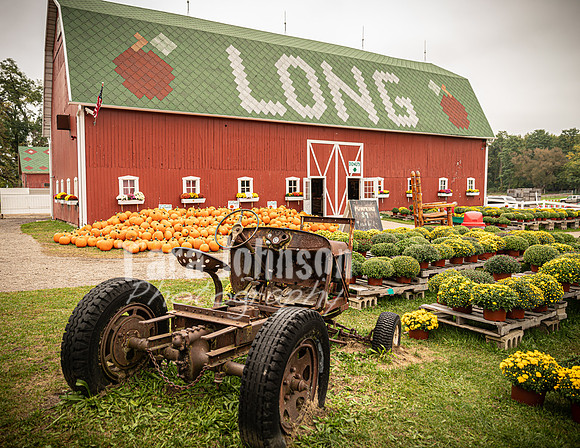 Long's Family Orchard, Farm & Cider Mill - TJP (31 of 50)