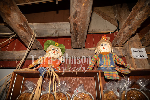 Long's Family Orchard, Farm & Cider Mill - TJP (35 of 50)