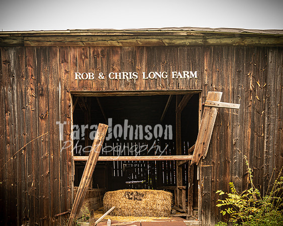 Long's Family Orchard, Farm & Cider Mill - TJP (47 of 50)
