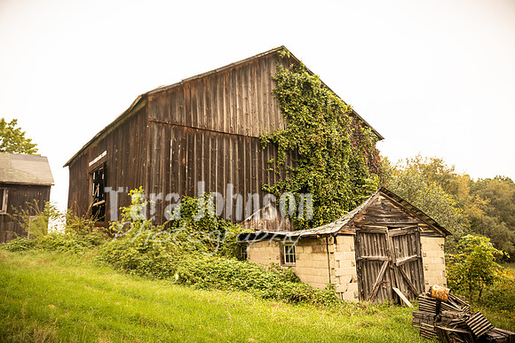Long's Family Orchard, Farm & Cider Mill - TJP (48 of 50)