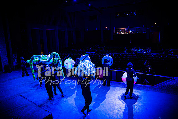 2024 MTC - Honk - R2 (Tuesday) - TJP (185 of 1192)