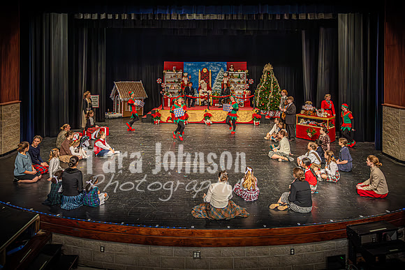 23 LHS Theatre - Elf Theatre - TJP (4 of 131)