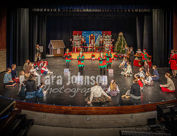 23 LHS Theatre - Elf Theatre - TJP (8 of 131)