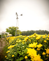 Long's Family Orchard, Farm & Cider Mill - TJP (6 of 50)