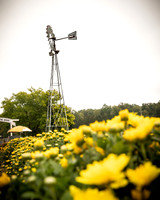 Long's Family Orchard, Farm & Cider Mill - TJP (7 of 50)