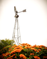 Long's Family Orchard, Farm & Cider Mill - TJP (8 of 50)