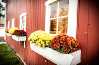 Long's Family Orchard, Farm & Cider Mill - TJP (12 of 50)