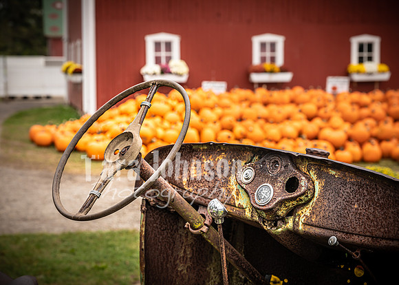 Long's Family Orchard, Farm & Cider Mill - TJP (15 of 50)