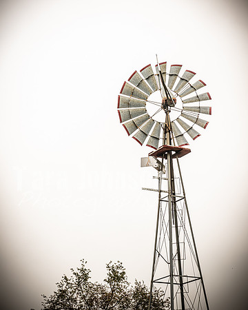 Long's Family Orchard, Farm & Cider Mill - TJP (16 of 50)